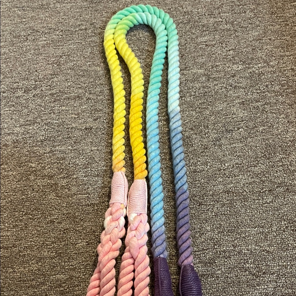 Vibrant Multicolor Dog Leash****ONLY 1, PLEASE SEE NOTE BELOW**** - Picture 5 of 5